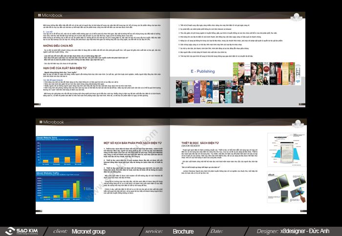 CÔNG TY CP TẬP ĐOÀN MICRONET -