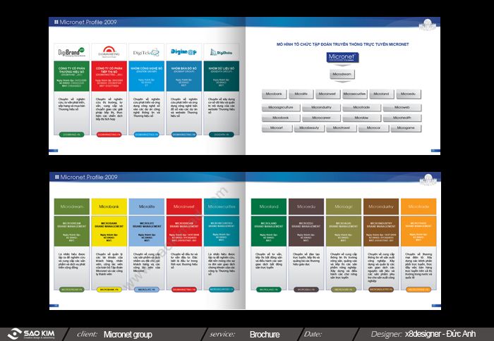 CÔNG TY CP TẬP ĐOÀN MICRONET -
