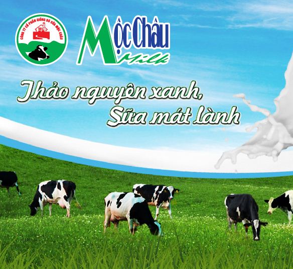 MOC CHAU MILK - Thiết kế showroom cho chuỗi cửa hàng bán lẻ sữa Mộc Châu