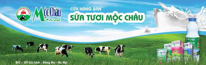 MOC CHAU MILK - Thiết kế showroom cho chuỗi cửa hàng bán lẻ sữa Mộc Châu