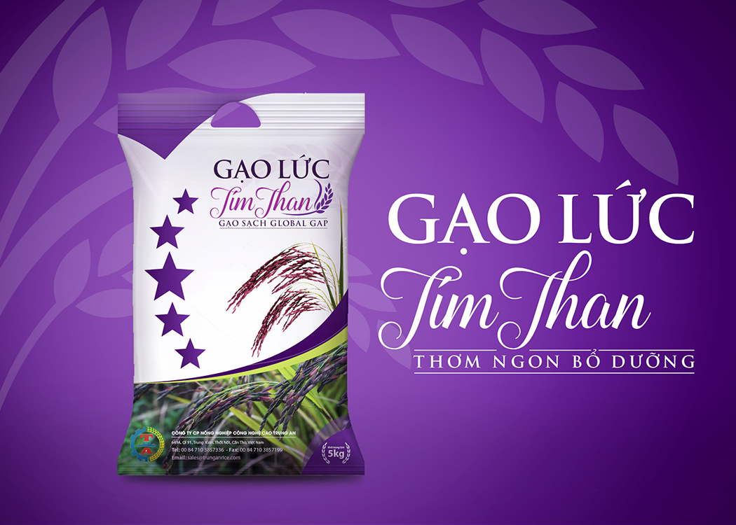 TRUNG AN - Thiết kế hệ thống bao bì sản phẩm gạo