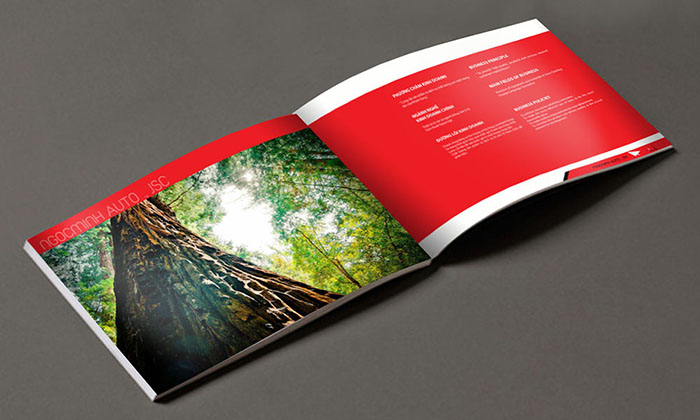 NgocMinh Auto - Thiết kế profile NgocMinh Auto