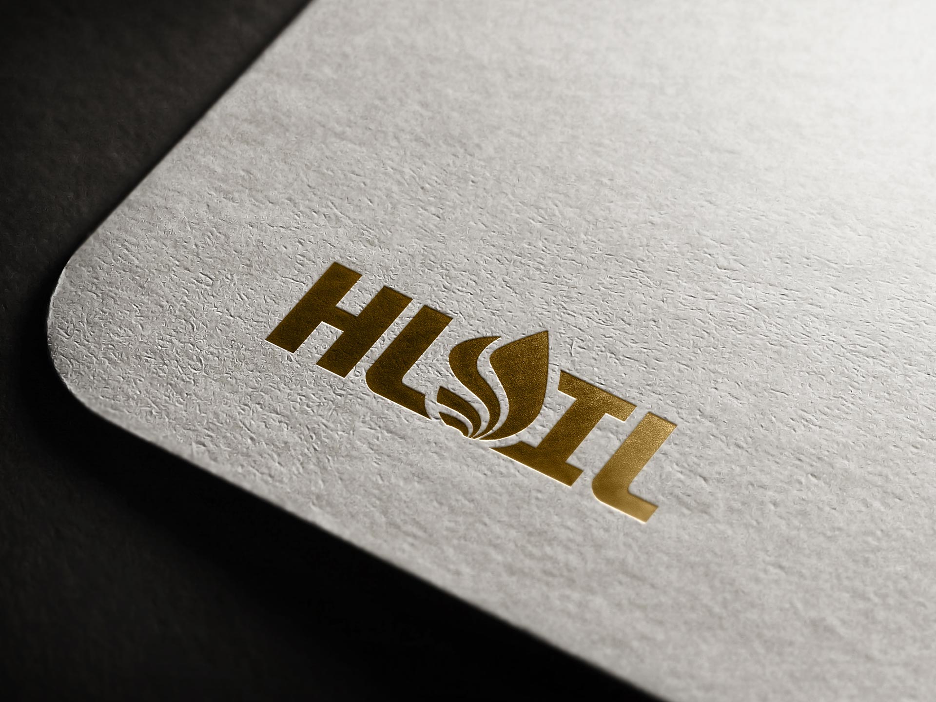 HLOIL - Thiết kế logo Công ty TNHH HAOLA