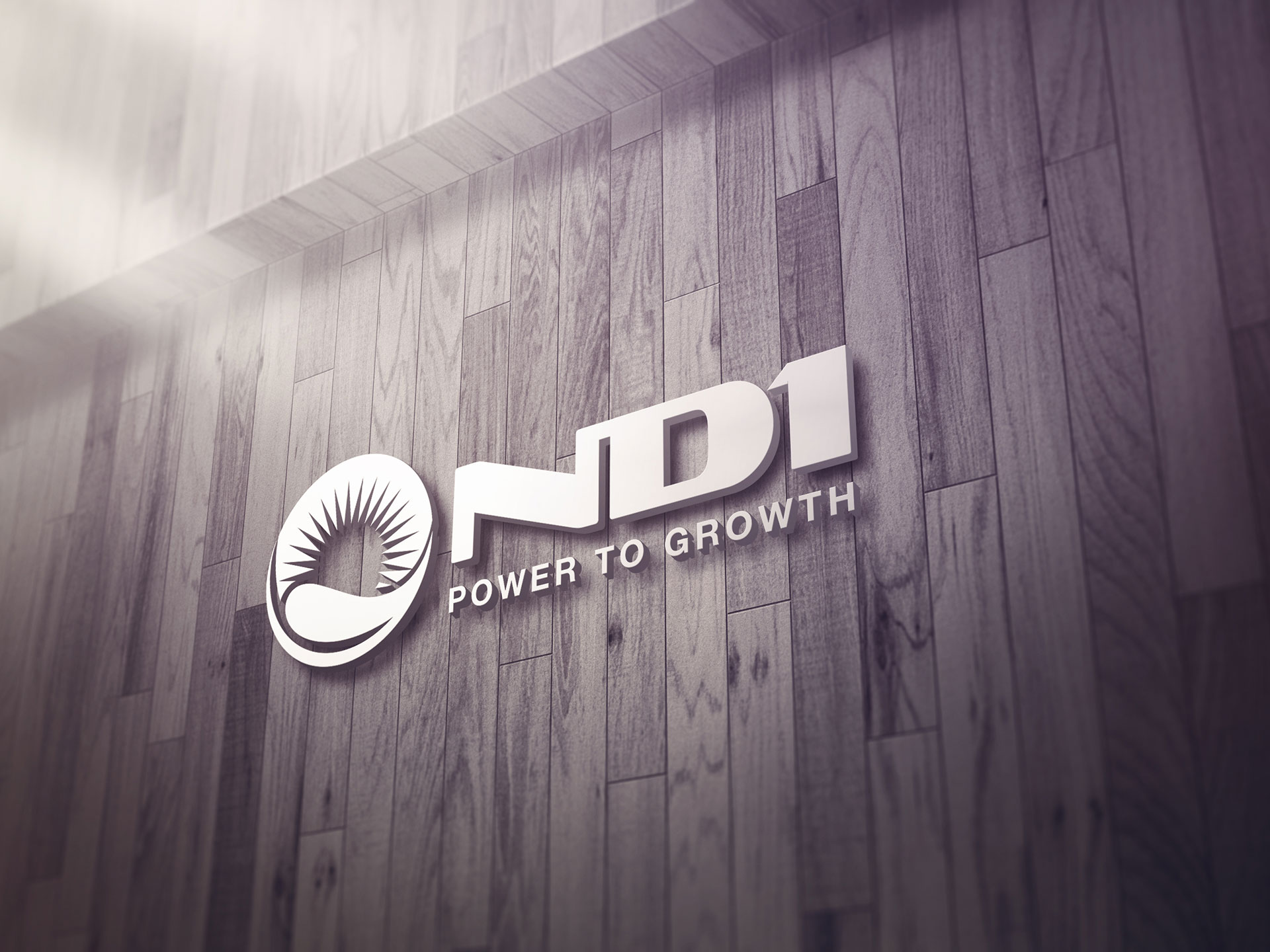ND1 - Thiết kế logo Công ty TNHH nhiệt điện Nam Định 1