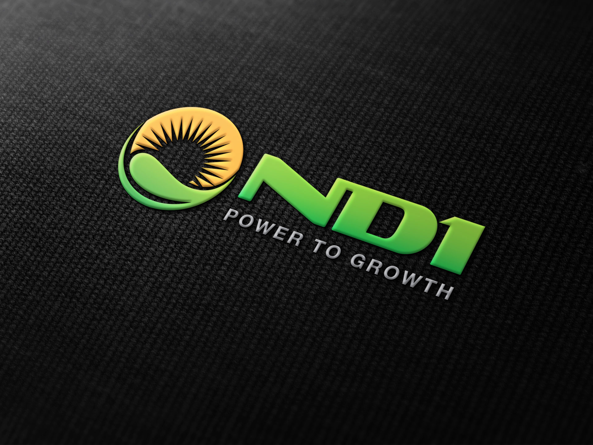 ND1 - Thiết kế logo Công ty TNHH nhiệt điện Nam Định 1