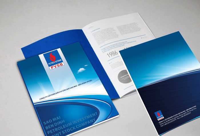 PVSB BẾN ĐÌNH - Thiết kế profile Công ty CP Đầu tư Dầu khí Sao Mai - Bến Đình