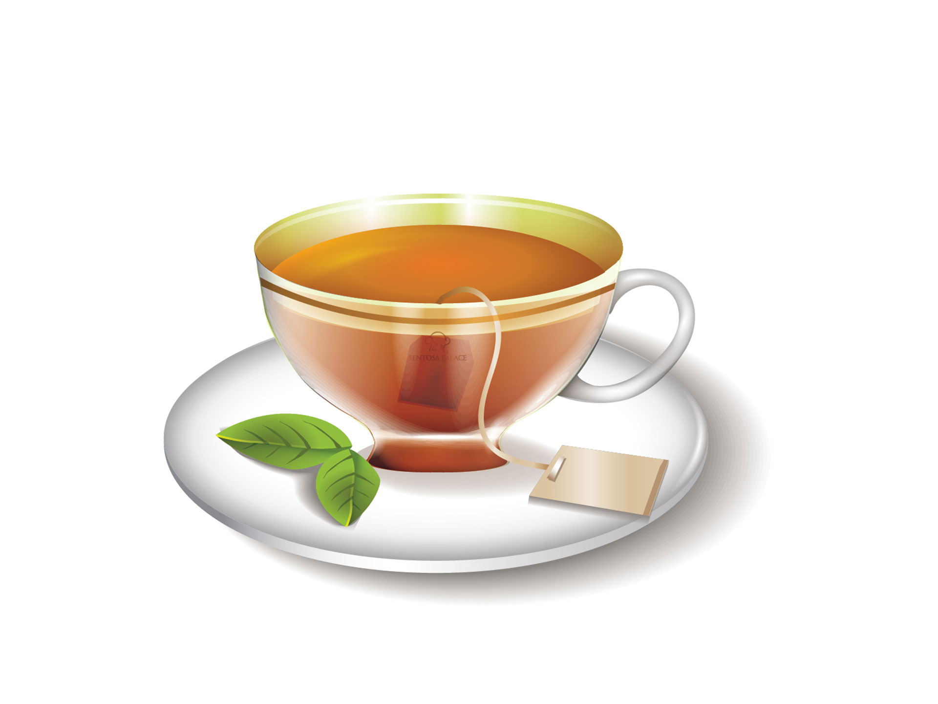 SENTOSA - Thiết kế logo và bộ nhận diện thương hiệu Sentosa