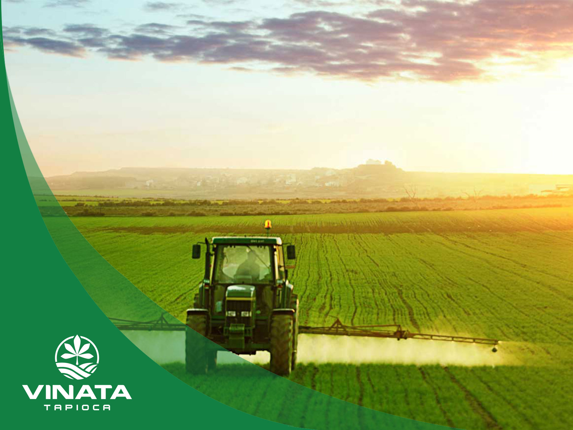 VINATA - Thiết kế logo và bộ nhận diện thương hiệu Công ty TNHH Tinh bột sắn Vinata