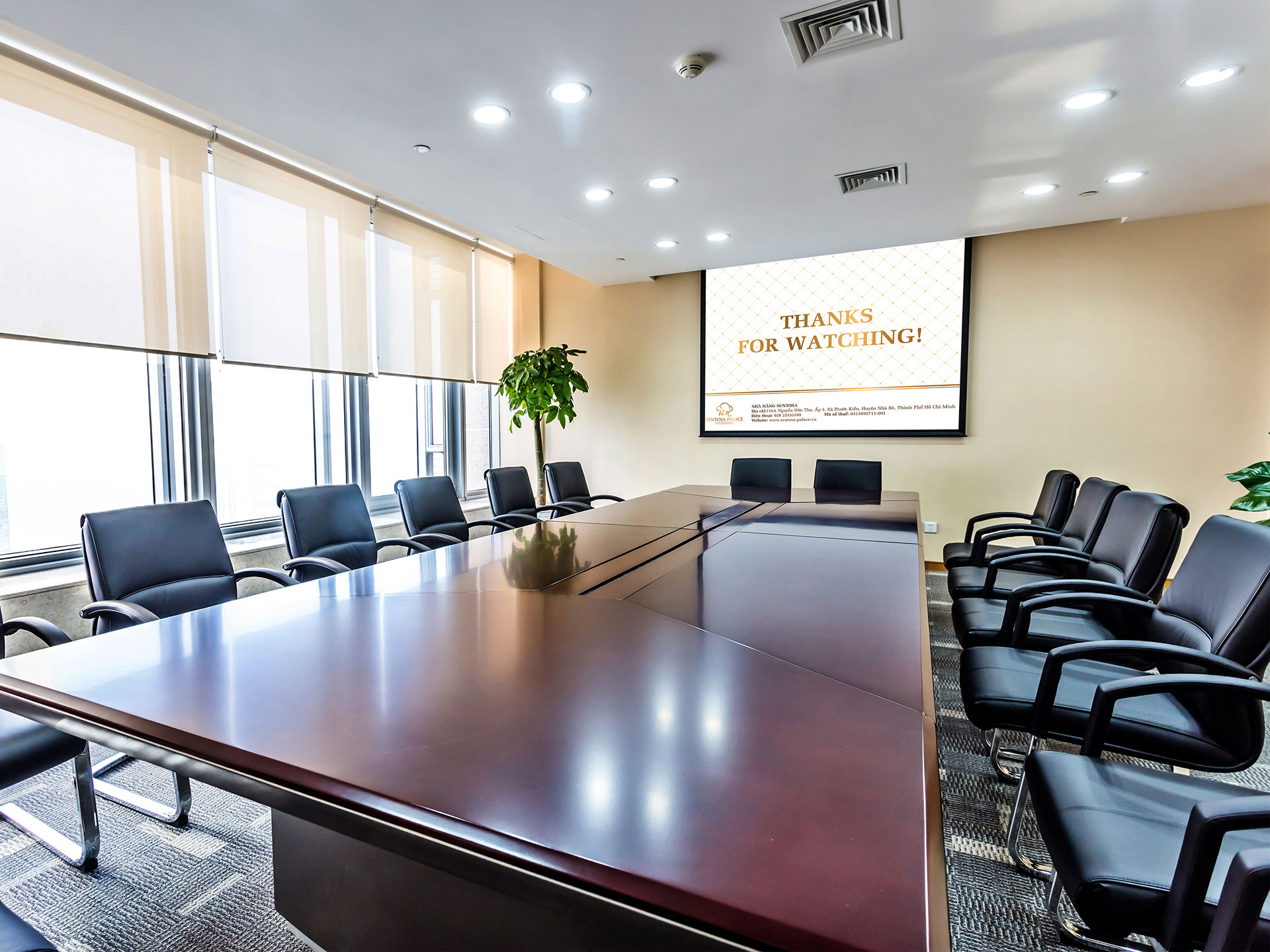 SENTOSA - Thiết kế logo và bộ nhận diện thương hiệu Sentosa