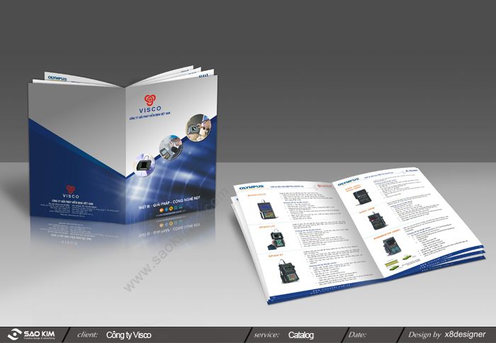 CÔNG TY GIẢI PHÁP KIỂM ĐỊNH VIỆT NAM (VISCO) - 