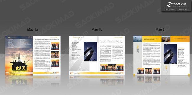 TỔNG CÔNG TY BẢO HIỂM DẦU KHÍ (PVI) -
