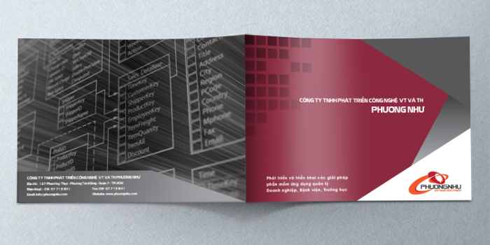 PHƯƠNG NHƯ - Thiết kế profile Công ty Phát triển công nghệ Viễn Thông và Tin Học Phương Như