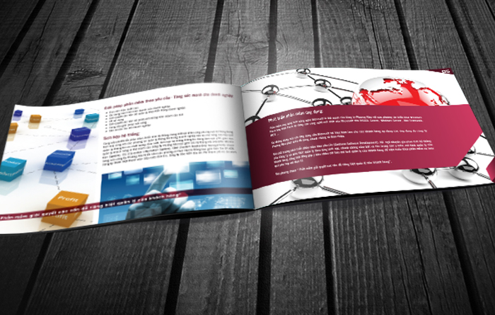 PHƯƠNG NHƯ - Thiết kế profile Công ty Phát triển công nghệ Viễn Thông và Tin Học Phương Như