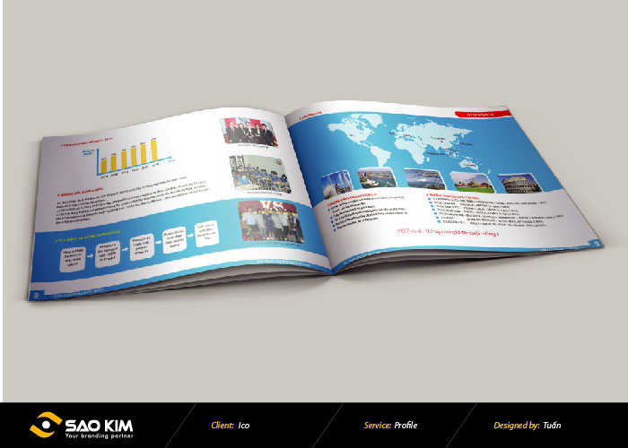 Profile ICO - Thiết kế profile Công Ty Cổ Phần Quốc Tế ICO