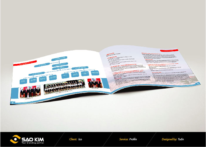 Profile ICO - Thiết kế profile Công Ty Cổ Phần Quốc Tế ICO