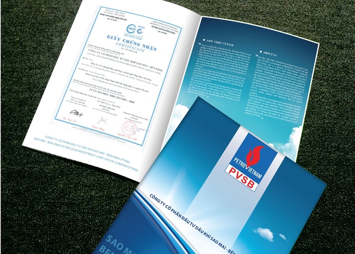 PVSB BẾN ĐÌNH - Thiết kế profile Công ty CP Đầu tư Dầu khí Sao Mai - Bến Đình