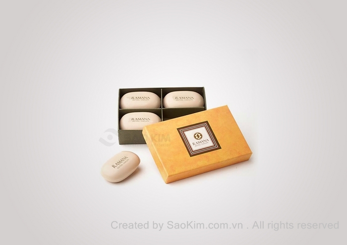 RAMANA HOTEL - Thiết kế hệ thống nhận diện thương hiệu khách sạn 4 sao RAMANA