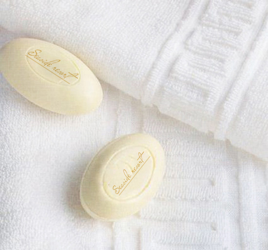 SEASIDE RESORT - Thiết kế nhận diện thương hiệu cho Resort 4* SEASIDE