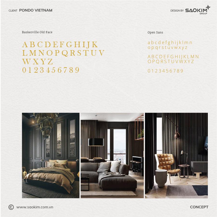 PONDO - Design Website and Brand identity Pondo Việt Nam