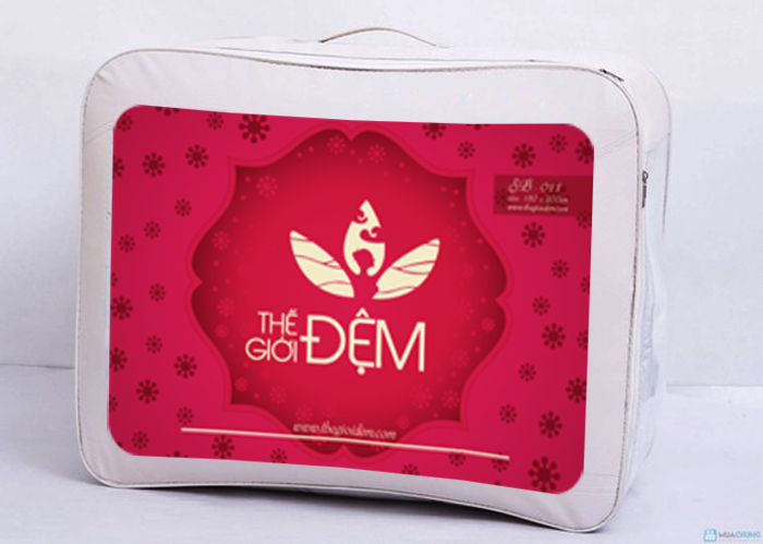 THẾ GIỚI ĐỆM - Thiết kế nhận diện thương hiệu Thế Giới Đệm