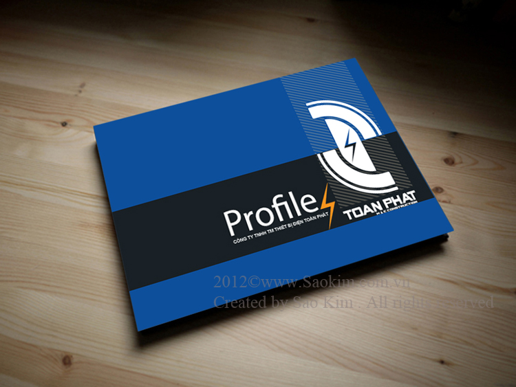 TOÀN PHÁT - CÔNG TY TNHH TM THIẾT BỊ ĐIỆN TOÀN PHÁT