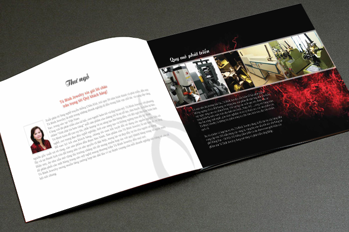 TU BINH JEWELRY - Thiết kế logo và ấn phẩm quảng cáo thương hiệu trang sức Tú Bình