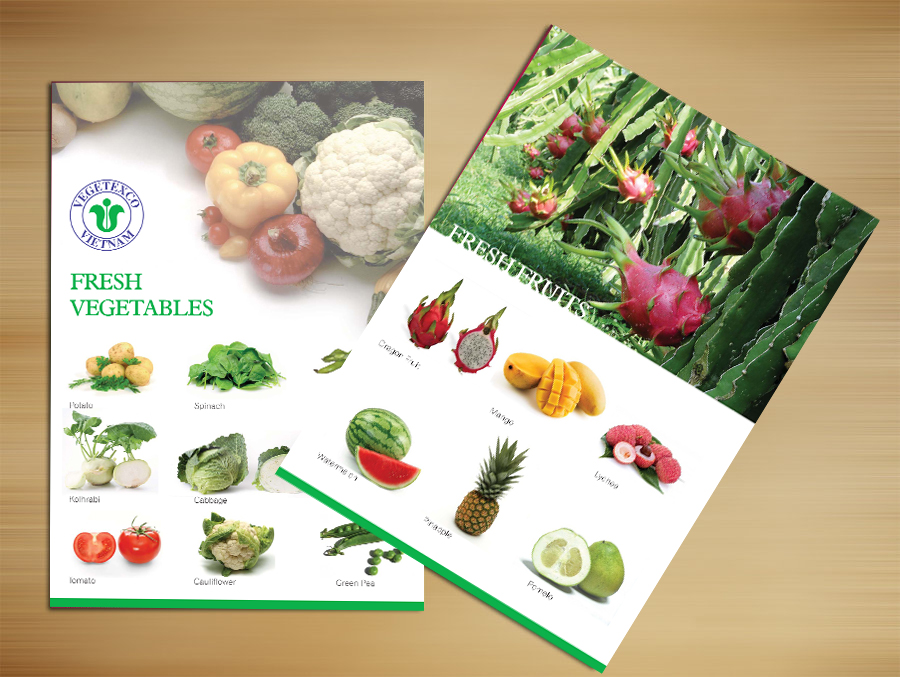 VEGETEXCO - Thiết kế catalog giới thiệu sản phẩm công ty VEGTEXCO