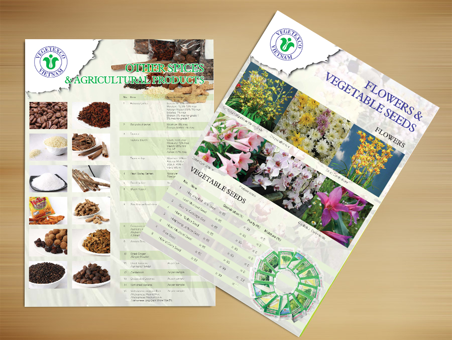 VEGETEXCO - Thiết kế catalog giới thiệu sản phẩm công ty VEGTEXCO