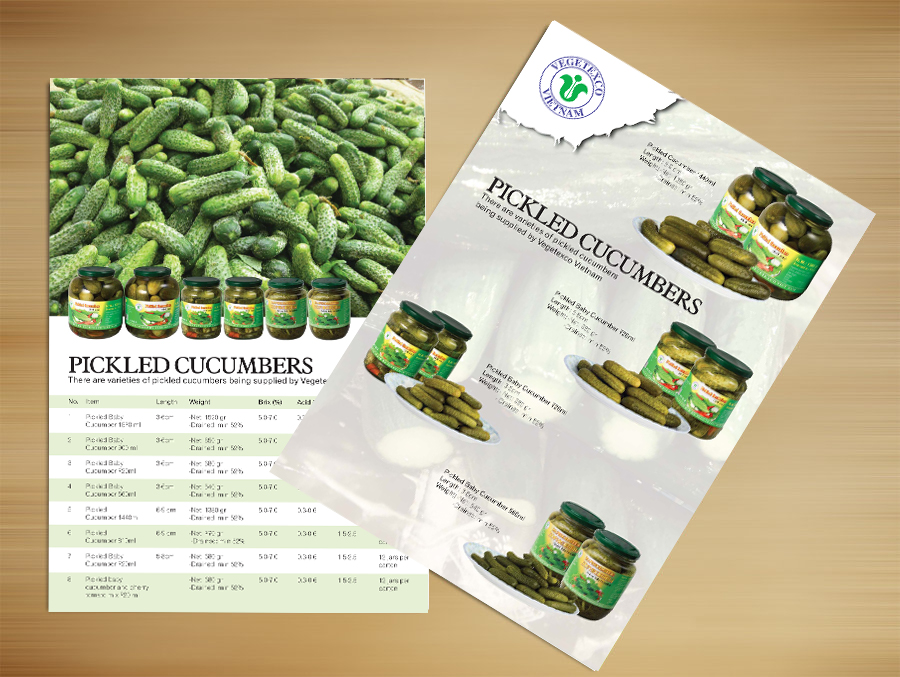 VEGETEXCO - Thiết kế catalog giới thiệu sản phẩm công ty VEGTEXCO