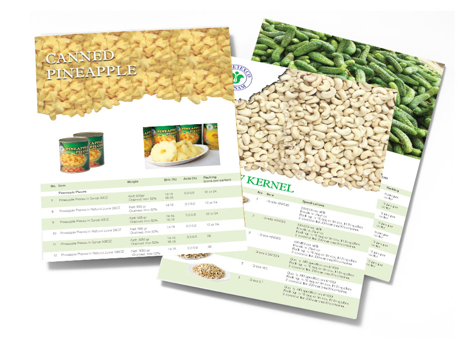 VEGETEXCO - Thiết kế catalog giới thiệu sản phẩm công ty VEGTEXCO
