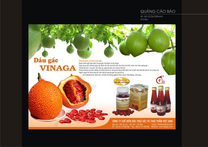 VINAGA - Thiết kế ấn phẩm quảng cáo báo chí cho Vinaga