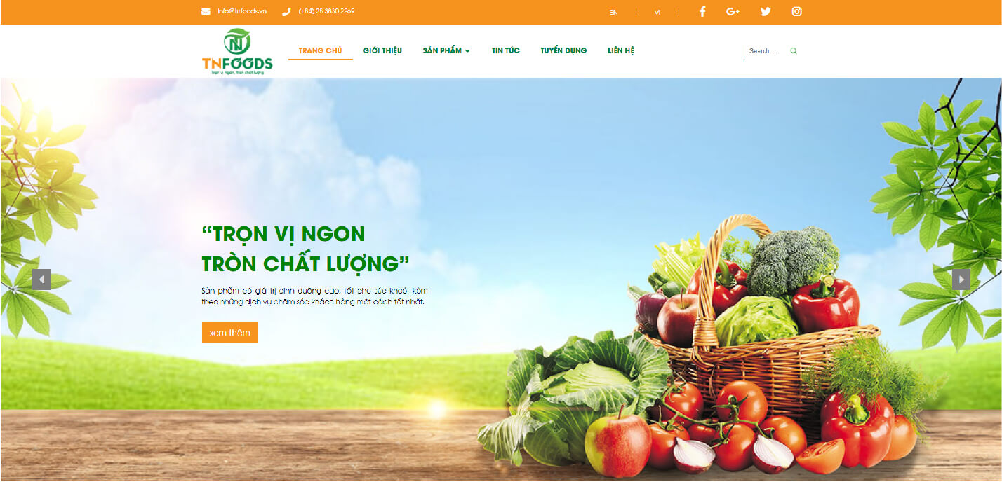 Dự án thiết kế website TNFOODS - 1