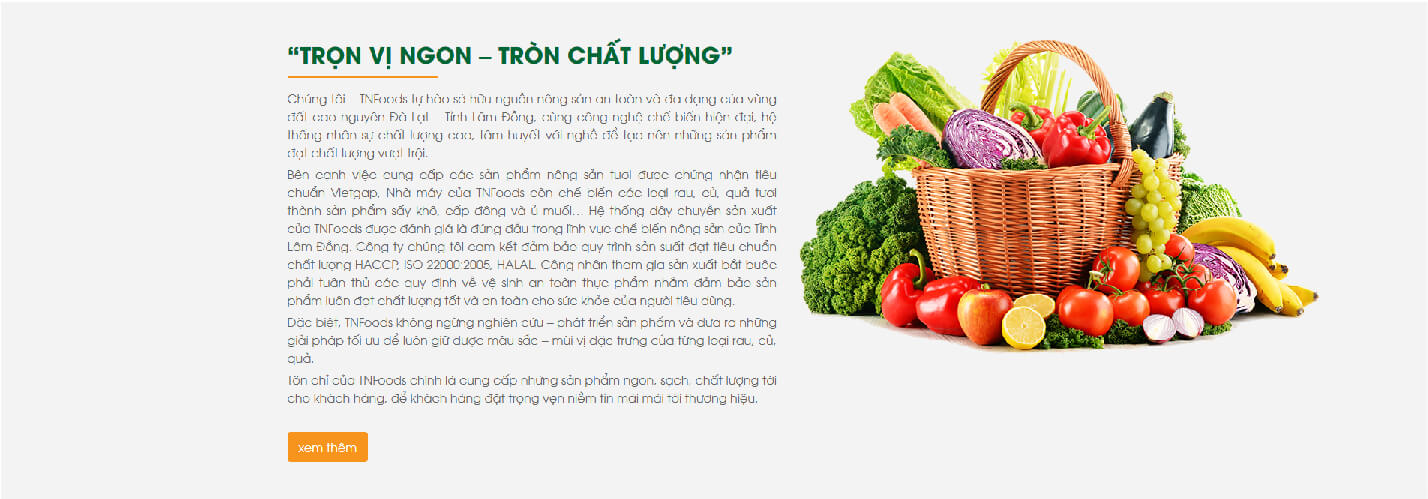 Dự án thiết kế website TNFOODS - 5