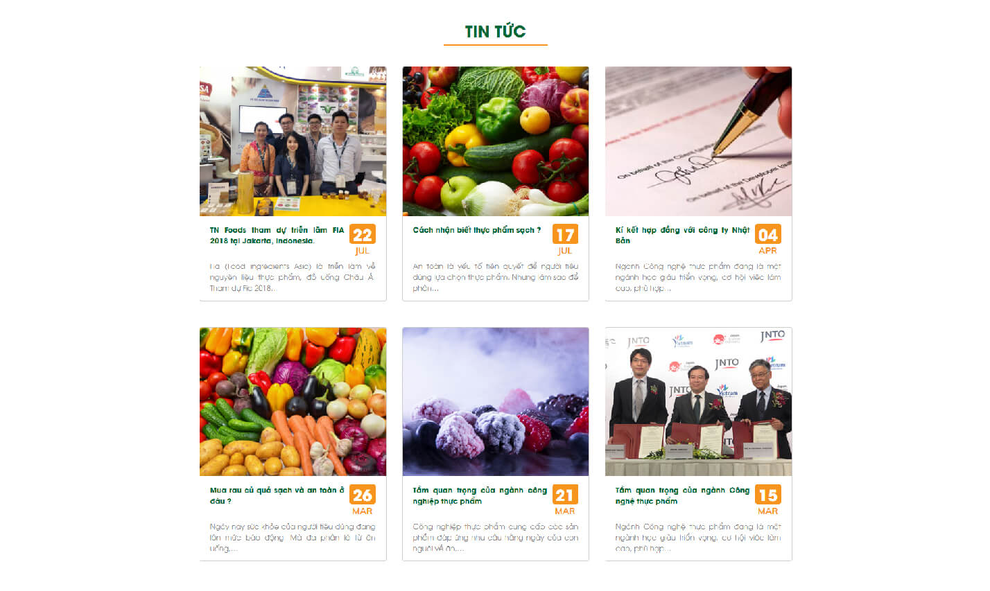 Dự án thiết kế website TNFOODS - 6