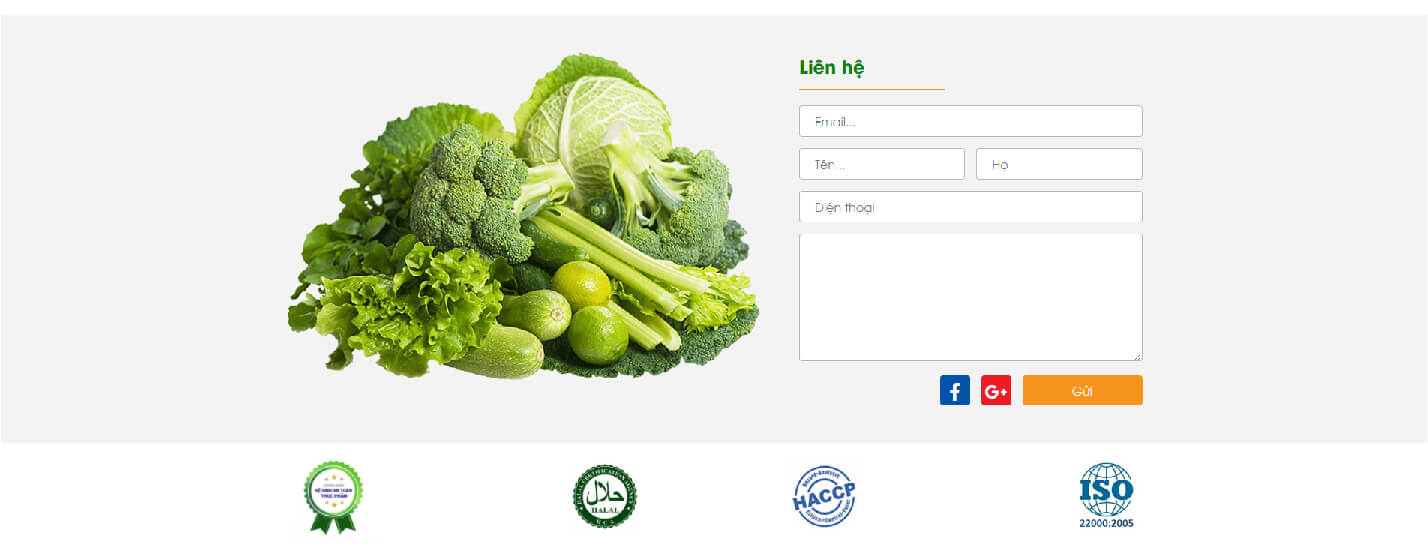 Dự án thiết kế website TNFOODS - 7