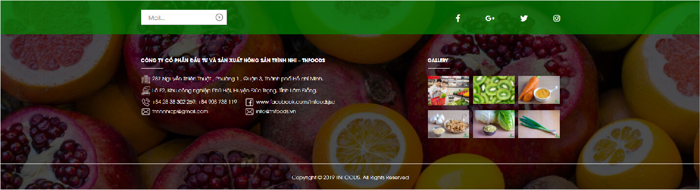 Dự án thiết kế website TNFOODS - 8