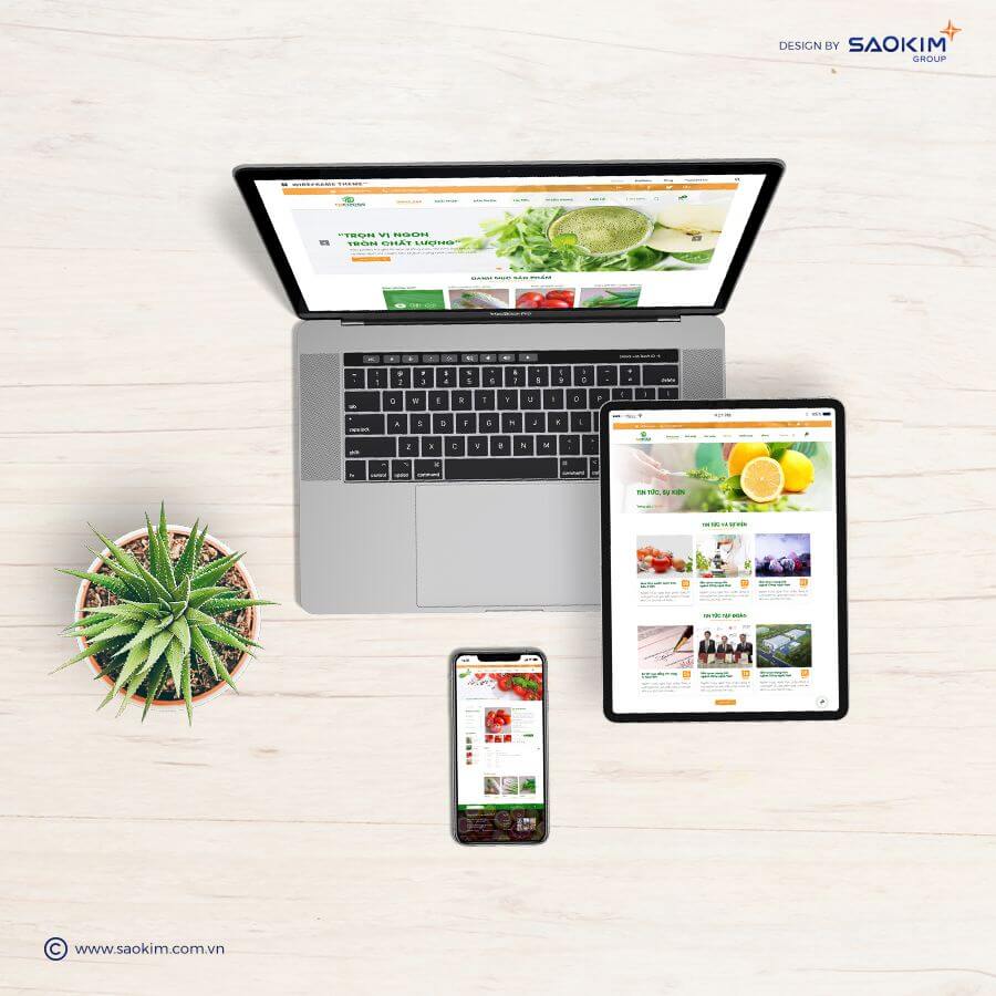 Dự án thiết kế website TNFOODS - 10