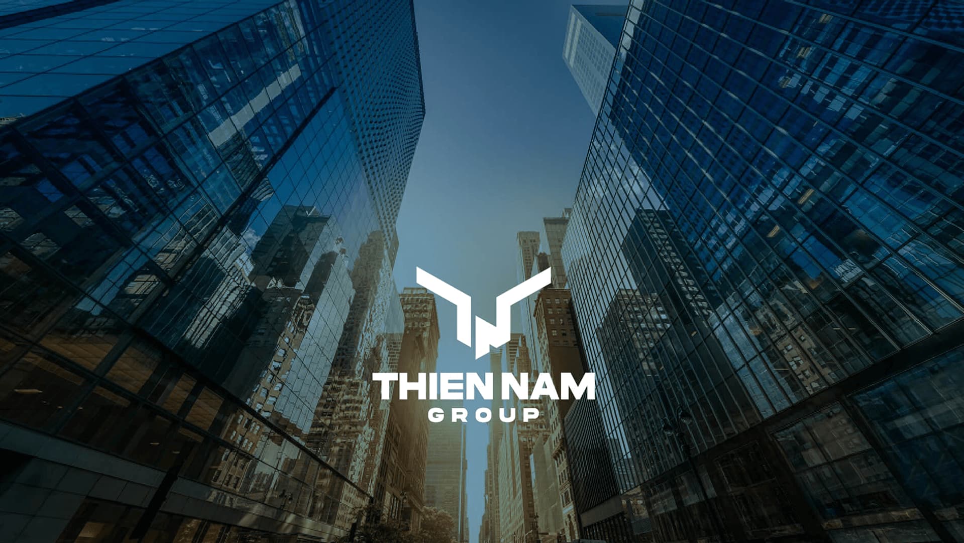 Dự án thiết kế website Thiên Nam Group - Sao Kim Branding