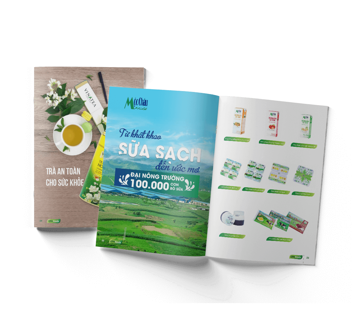 Dịch vụ thiết kế Catalogue chuyên nghiệp - Sao Kim Branding