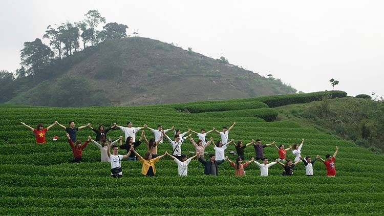 Điểm tham quan đồi chè trái tim của đoàn Sao Kim.