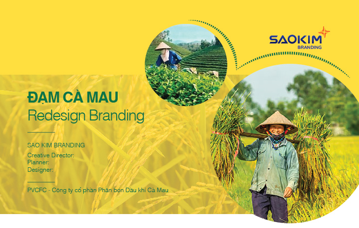 Thiết kế Bộ nhận diện thương hiệu - ảnh từ SaoKim Branding
