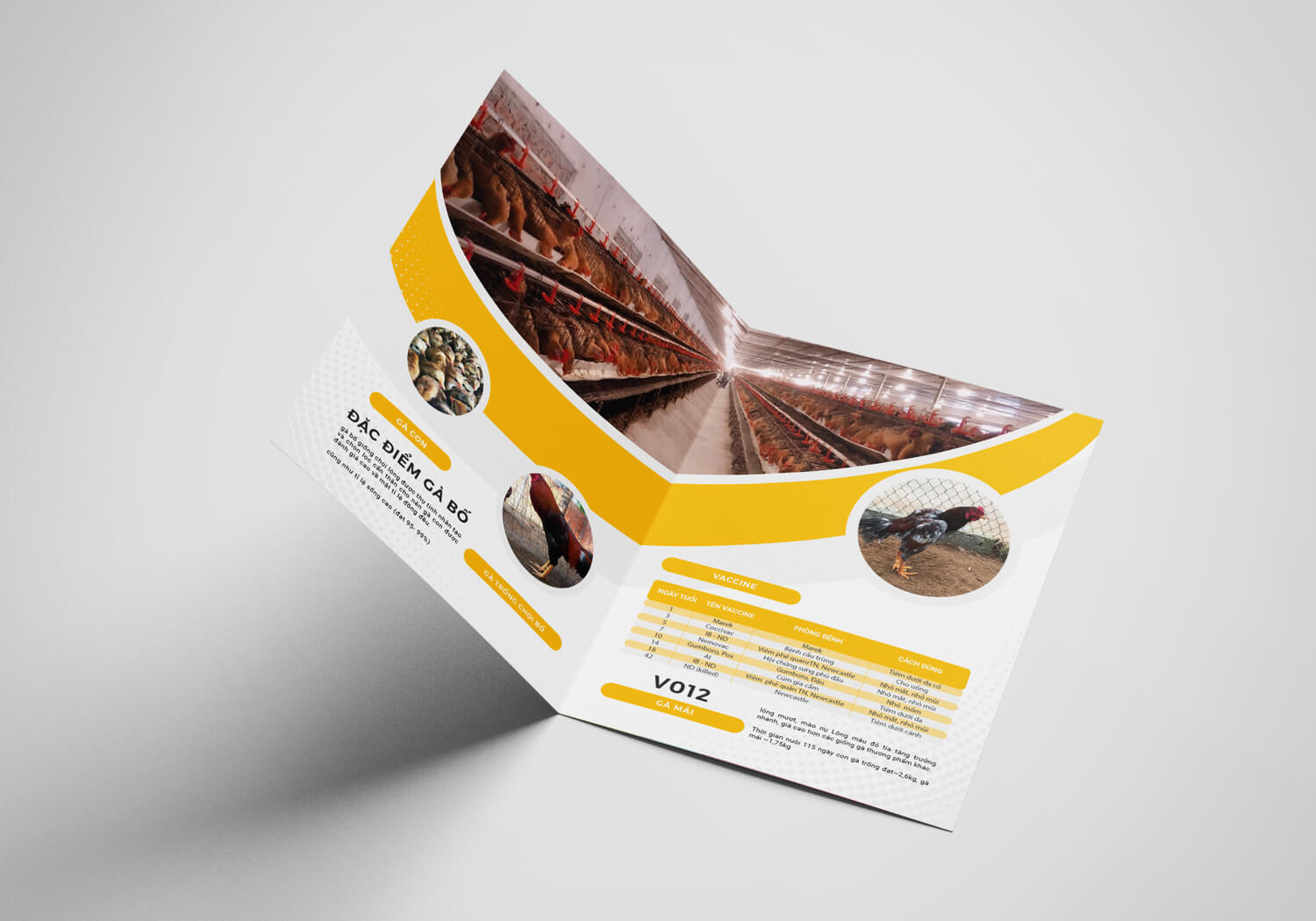 Dự án Thiết kế thương hiệu Lại Vượng - Folder 2
