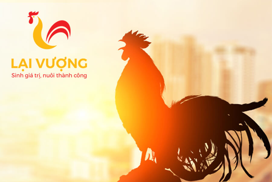 Dự án Thiết kế thương hiệu Lại Vượng - 11