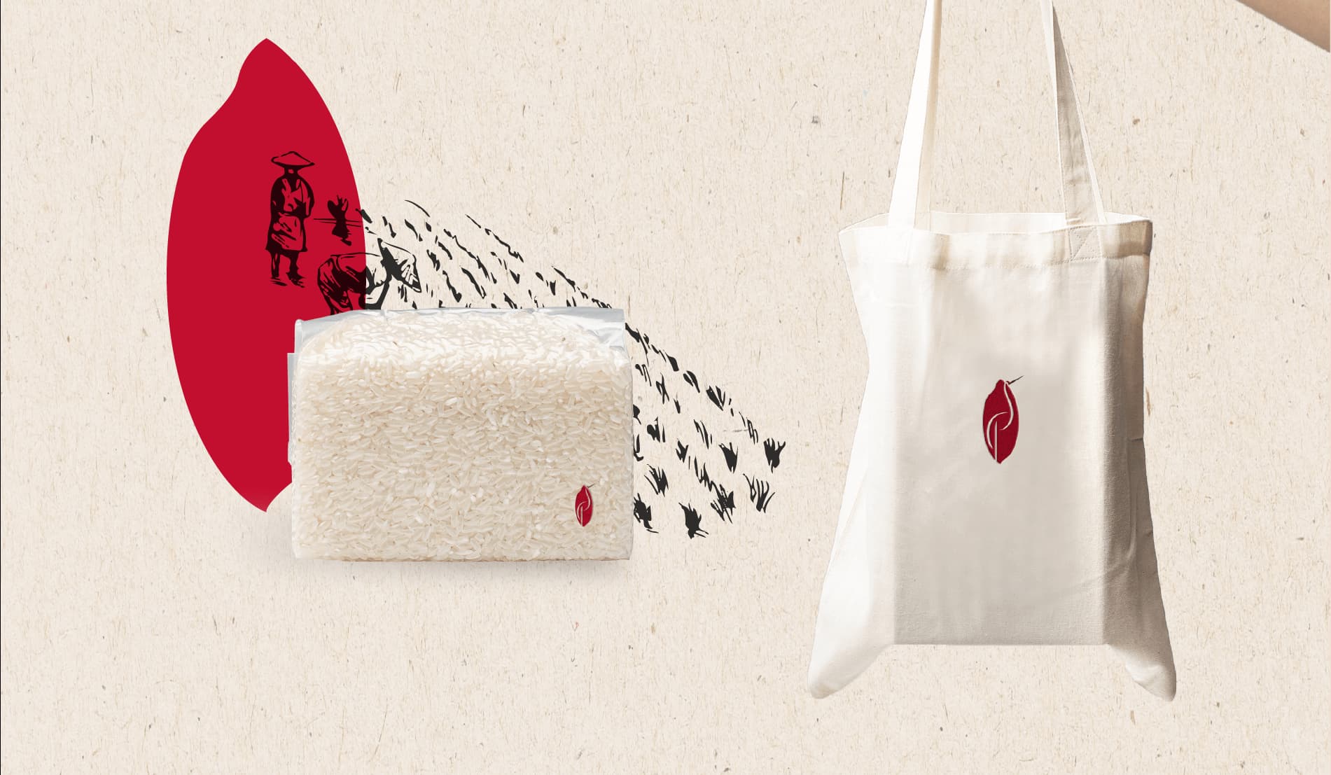 Dự án thiết kế thương hiệu SẾU RICE - Bao bì gạo