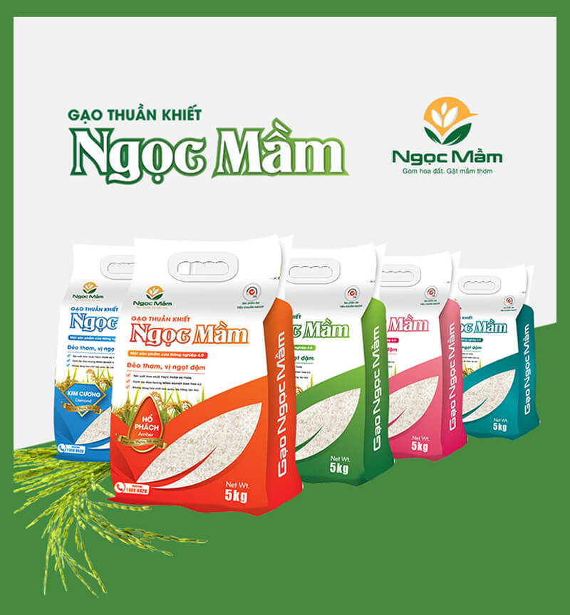 Dự án thiết kế thương hiệu bao bì Gạo Ngọc Mầm - Sao Kim Branding