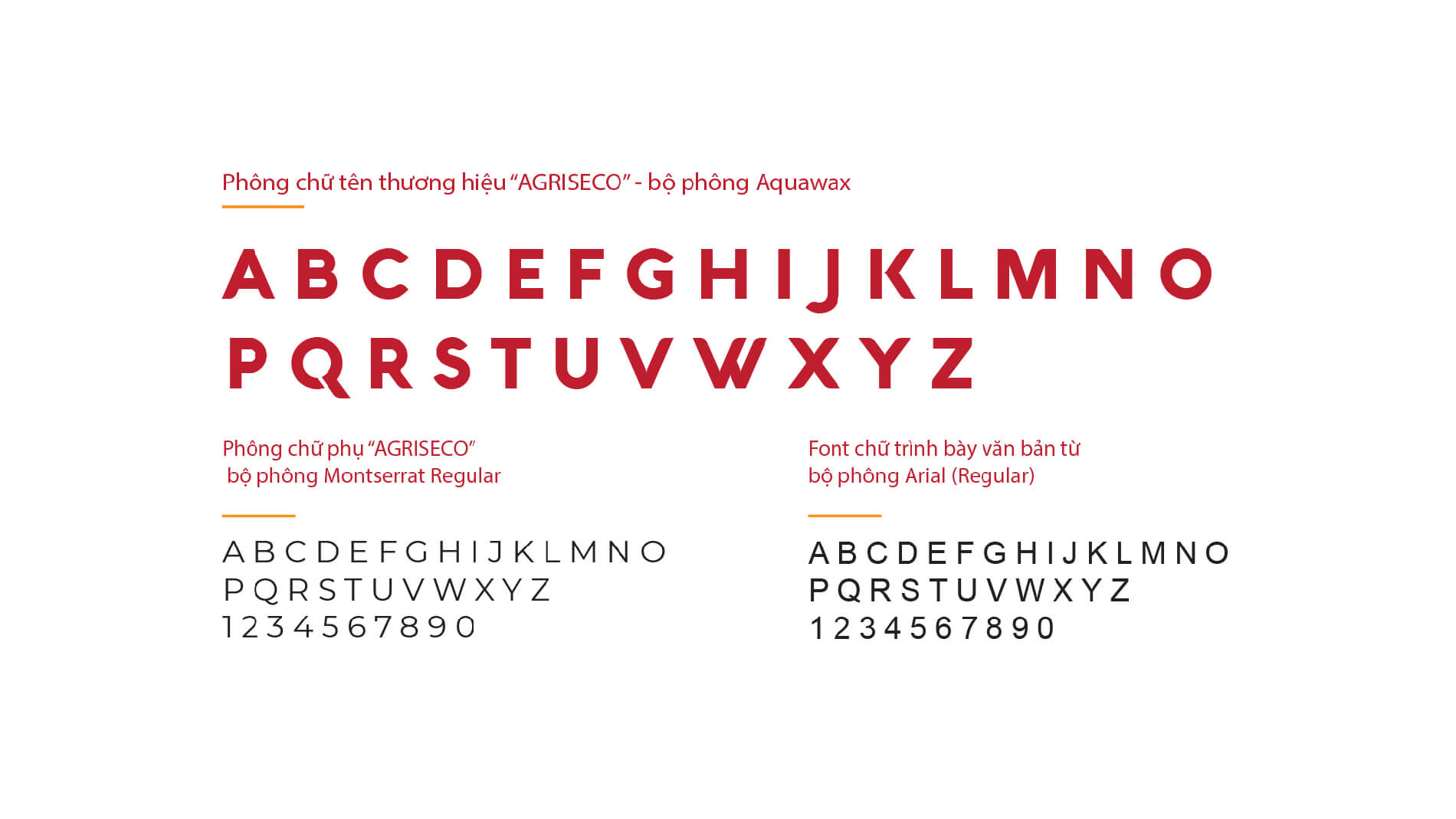 Dự án thiết kế nhận diện thương hiệu, thiết kế Logo Chứng khoán Agribank - Fonts chữ