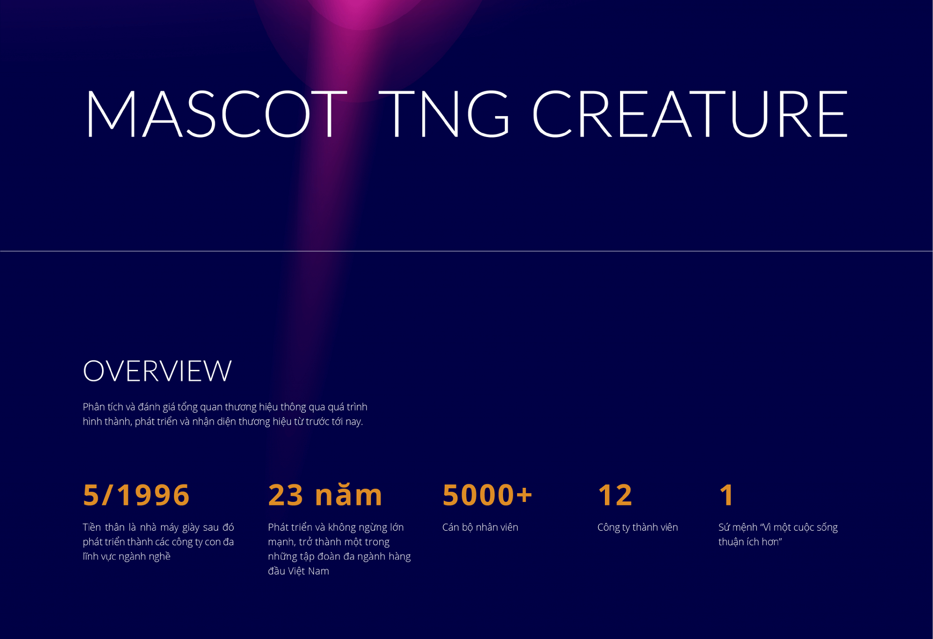 Dự án thiết kế Mascot (linh vật thương hiệu) cho TNG Holdings - Sao Kim Branding (2)