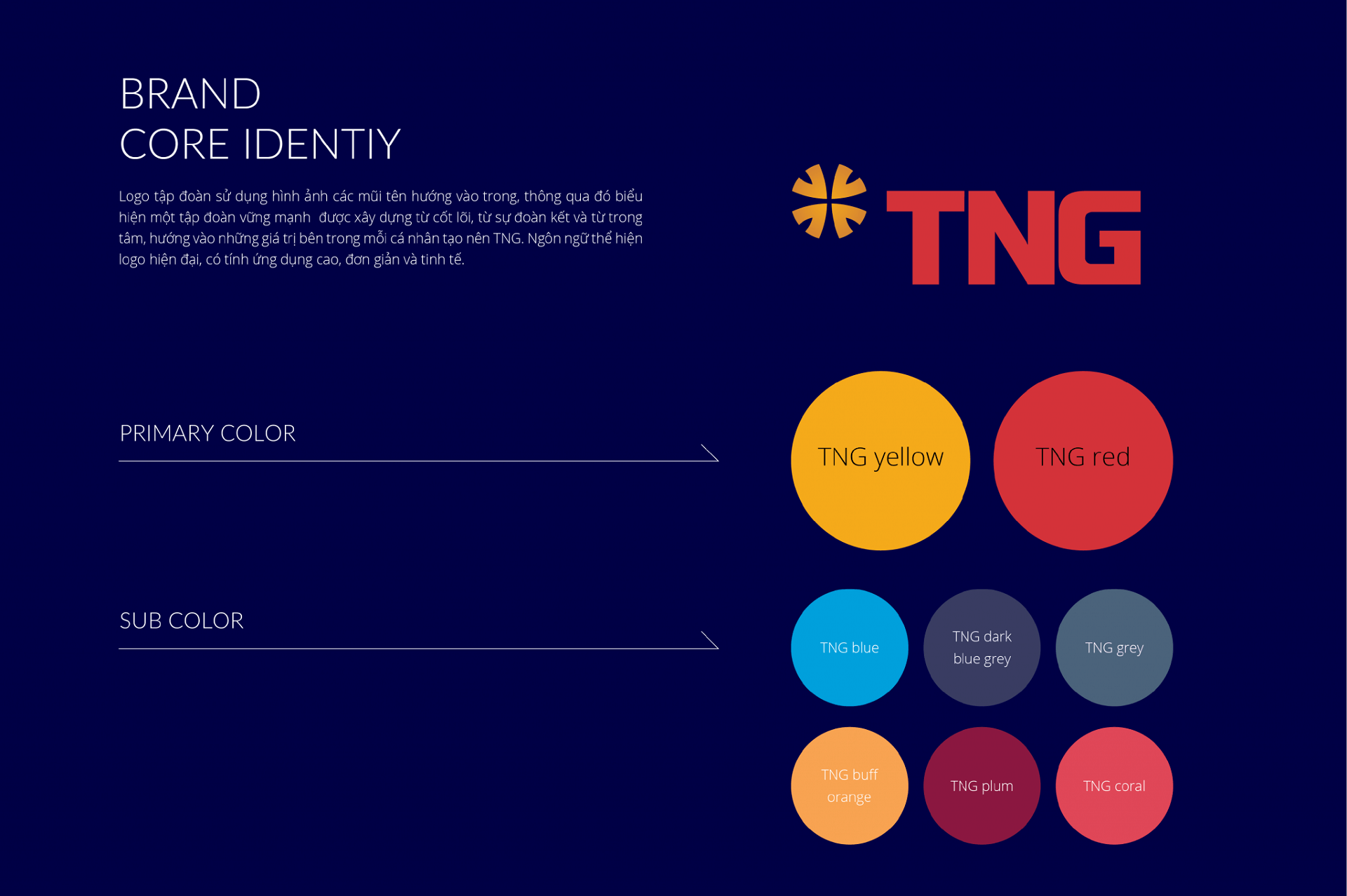 Dự án thiết kế Mascot (linh vật thương hiệu) cho TNG Holdings - Sao Kim Branding (3)