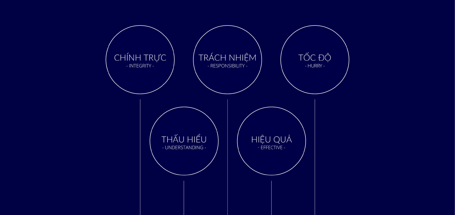 Dự án thiết kế Mascot (linh vật thương hiệu) cho TNG Holdings - Sao Kim Branding (4)