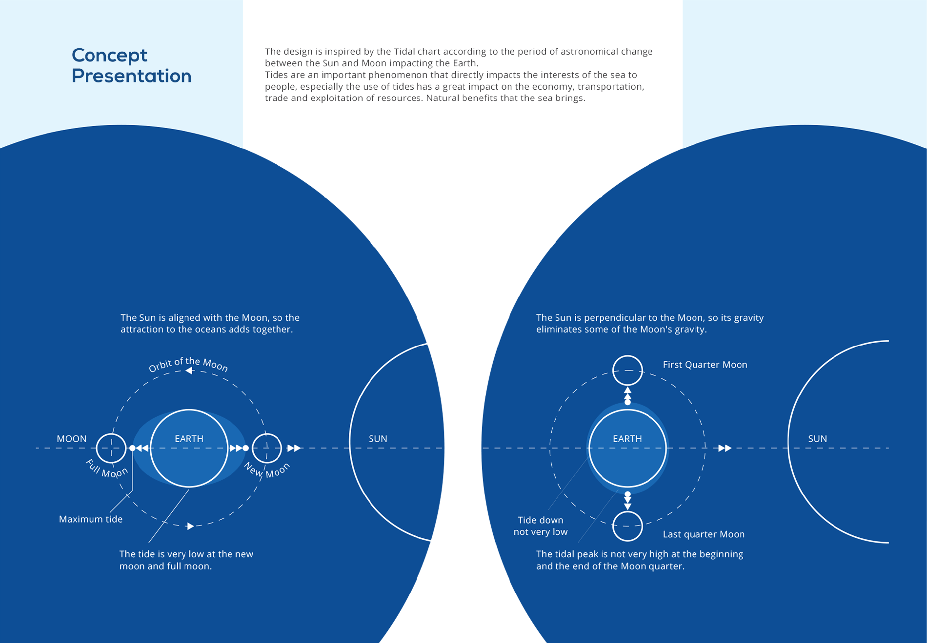 Dự án thiết kế nhận diện thương hiệu CEOTIC - 5